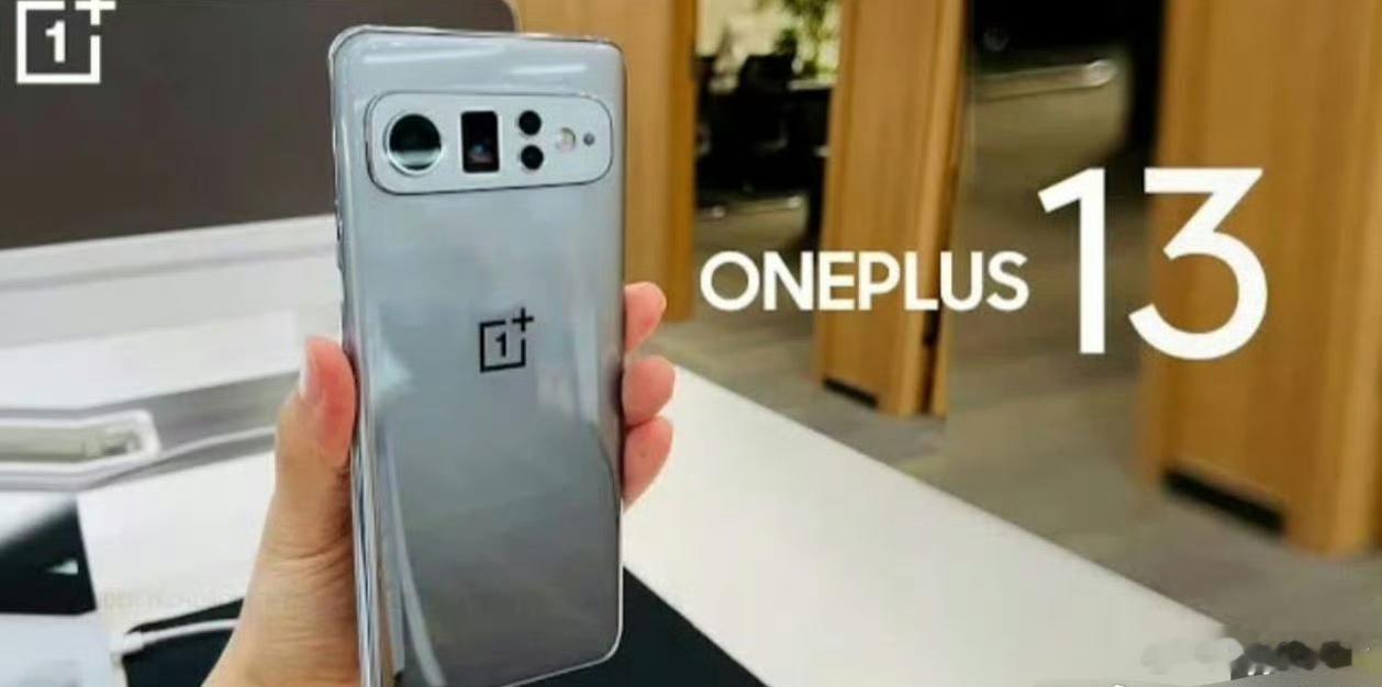 Oneplus 13