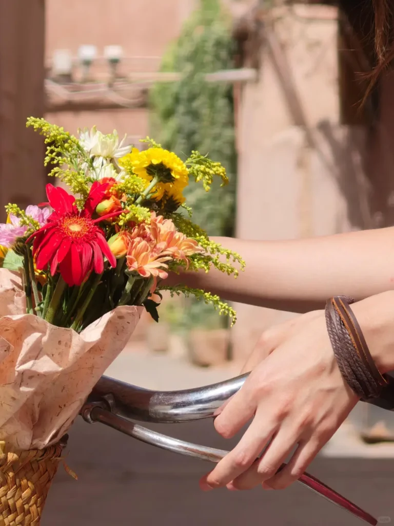 1040g0k031meidm1n4s105ou522kpgqar67donm8!nd_dft_wlteh_jpg_3